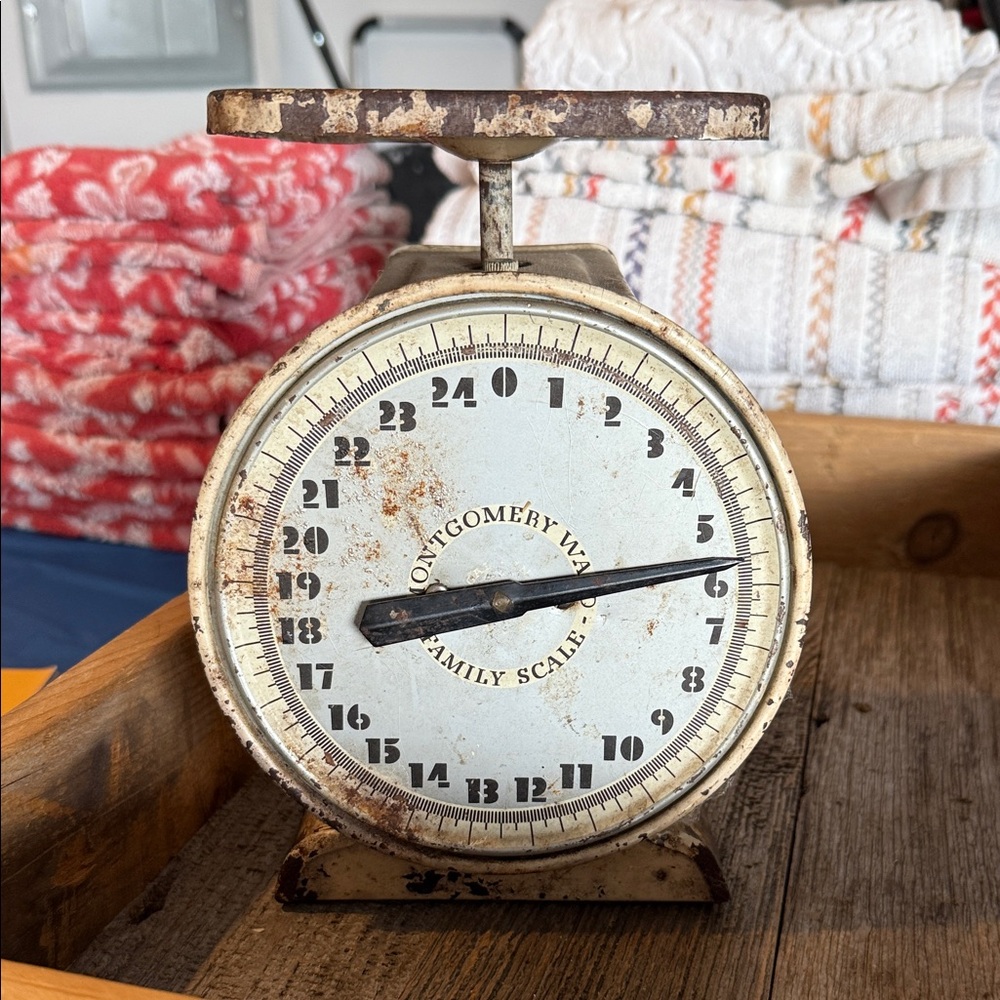 Vintage Rustic Montgomery Family Scale